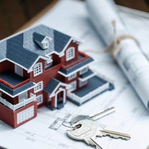 Asset Recovery (Real and Movable)
